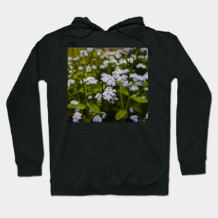 Forget-me-nots Hoodie